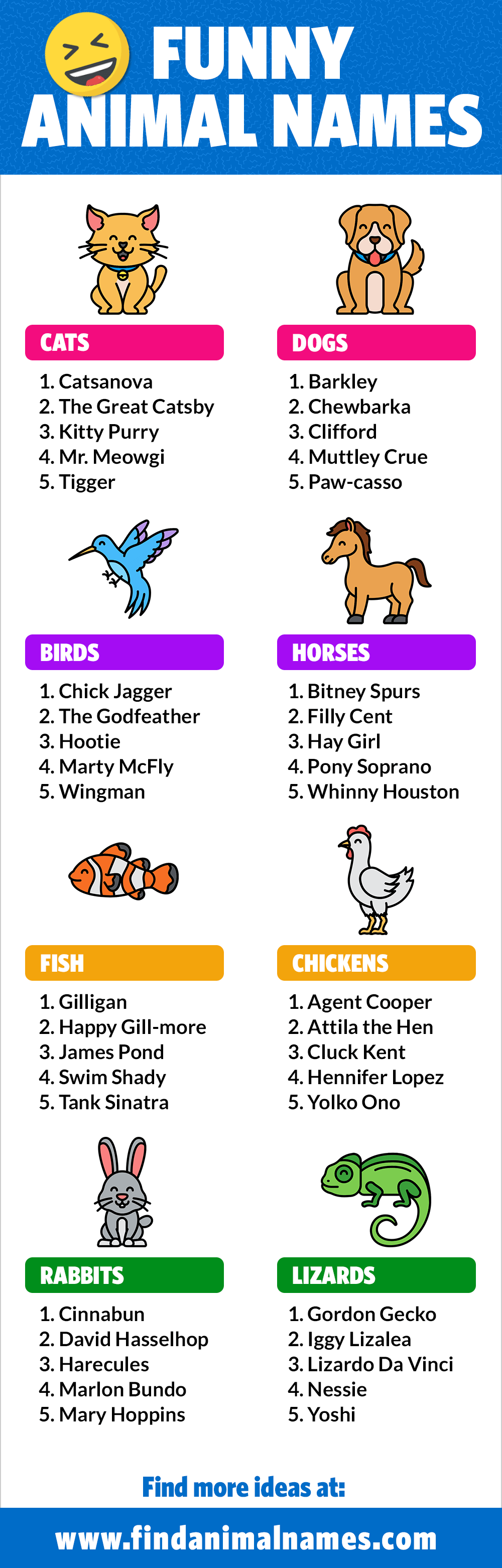 funny animal names infographic