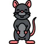 rat icon