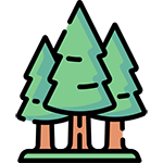 forest icon